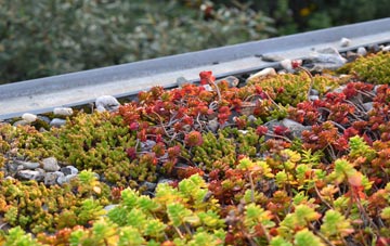 the cost of St Osyth Heath green roof installation