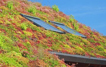 St Osyth Heath living roof systems