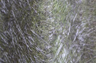 St Osyth Heath fibreglass roof work